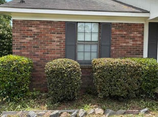 Steven H.'s Bush Trimming service result