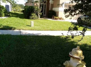 Anita G.'s Yard Cutting service result
