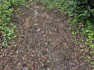 Cleanups by Rashawd Johnson for Taylor B. in Catonsville, MD