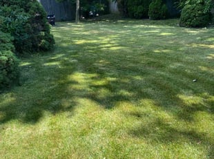 James P.'s Lawn Service service result