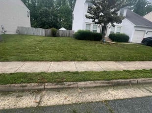 Michelle I.'s Grass Cutting service result