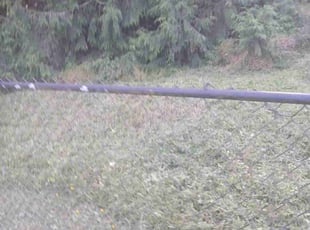 Mulching by Igor Kernogitski for Tina P. in Oregon City, OR