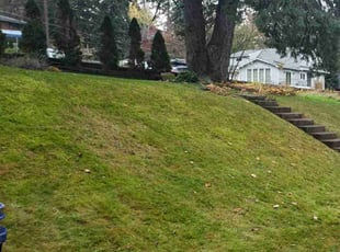 Leaf Removal by Cody Davis for Kristie A. in Spokane, WA