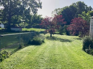 Steve P.'s Lawn Service service result