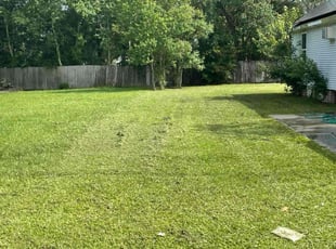 Beth M.'s Lawn Mowing Service service result