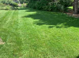 Victoria B.'s Yard Cutting service result
