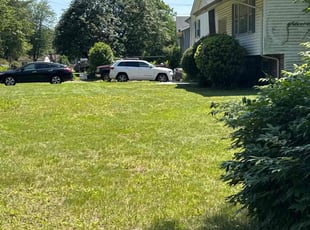 Bush Trimming by Henry Jimenez for Gladys S. in Windsor, CT