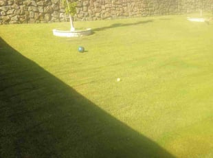 Roy H.'s Lawn Mowing service result