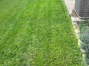 Ranavy R.'s Lawn Mowing service result