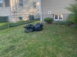 Donald R.'s Lawn Mowing service result