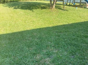 Karla P.'s Lawn Service service result