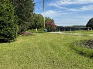 Sonja o.'s Lawn Care service result