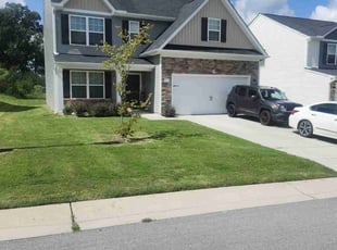 Annika W.'s Lawn Mowing service result