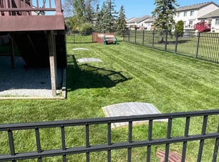 Vicky W.'s Lawn Maintenance service result