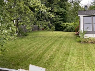 Mary C.'s Grass Cutting service result