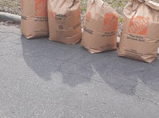 Leaf Removal by Lee Rickett for Mogan J. in Charlotte, NC