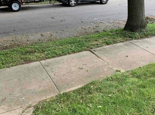 Cleanups by Nick Richardson for Emily G. in Fort Wayne, IN