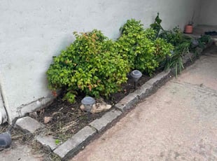 Leaf Removal by Jessie Revilla Sanchez for Tiffany L. in Oklahoma City, OK