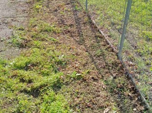 Leaf Removal by Phoeun Phal for Larry c. in Haysville, KS