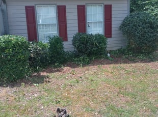 Bush Trimming by Patrick Thompson for Armon S. in Buford, GA