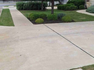 Danielle J.'s Lawn Mowing Service service result