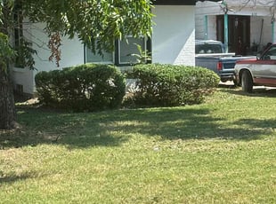 Bush Trimming by Rhett Lambas for Veronica M. in Grand Prairie, TX