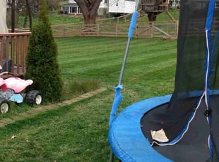 Vicki B.'s Lawn Mowing service result