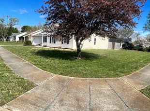 Kathy Q.'s Lawn Maintenance service result