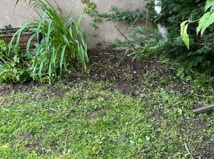 Weeding by Eric Brooks for Kentina W. in Philadelphia, PA