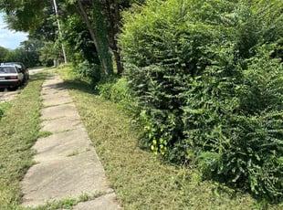 Bush Trimming by Najell Ferguson for Moon H. in Richmond, VA