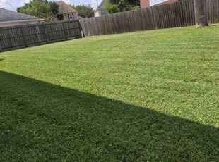 Tom B.'s Grass Cutting service result