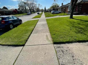 Abul H.'s Lawn Maintenance service result