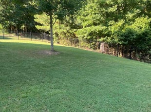 Jennida W.'s Yard Cutting service result