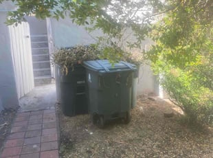 Cleanups by Michael Leftridge for Alvin C. in Vallejo, CA