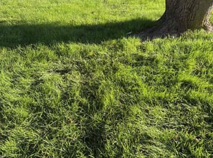 Cleanups by Phoeun Phal for Leif S. in Wichita, KS