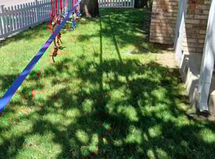 Melinda W.'s Lawn Service service result