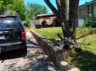 Cleanups by Mario Martinez for Erin C. in Fort Worth, TX