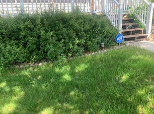 Bush Trimming by Kenny Bratton for Deonnie M. in Pasadena, MD