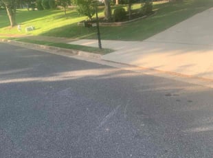 Gabriel P.'s Lawn Care service result