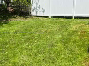 Wegdan A.'s Lawn Service service result