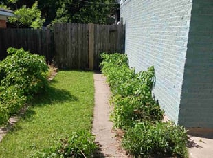 Weeding by Isuziu Taffe for Kaitlyn T. in Plano, TX