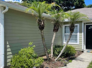 Weeding by Vee Primus for Zachary L. in Jacksonville, FL
