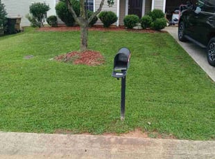 Tracy w.'s Lawn Mowing service result