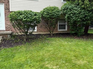 Bush Trimming by Ronald Coleman for Hassan O. in Westerville, OH