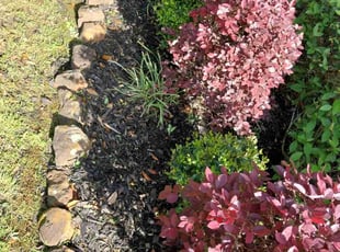 Weeding by Daiby Alvarez for Chris S. in Porter, TX