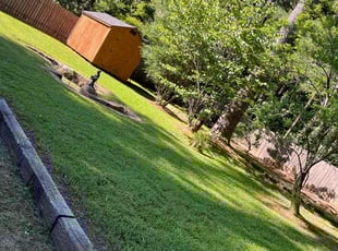 Diane O.'s Lawn Service service result