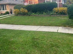 Phillip B.'s Lawn Service service result