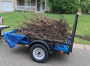 Cleanups by Jeremy Osell for McKayla K. in Minneapolis, MN