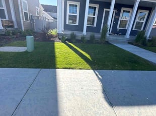 Brian C.'s Lawn Service service result