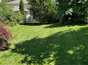 Michelle L.'s Lawn Service service result